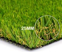 Economic Grass 1