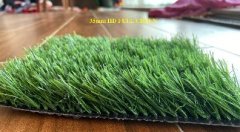 Economic Grass 2