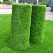 Economic Grass 3