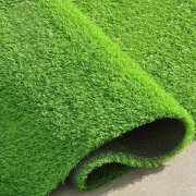 Economic Grass 5
