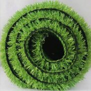 Economic Grass 6