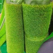 Economic Grass 7