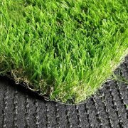 Economic Grass 8