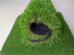 Economic Grass 9