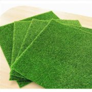 Economic Grass 10