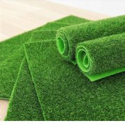 Economic Grass 11