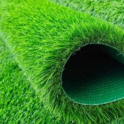 Economic Grass 13