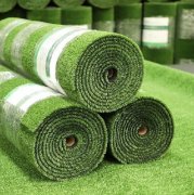 Economic Grass 15