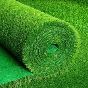 Leisure Grass 1