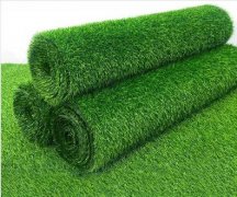 Leisure Grass 2