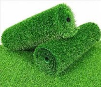 Leisure Grass 4