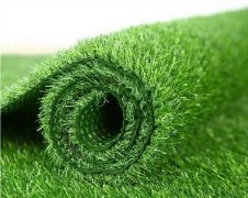 Leisure Grass 5
