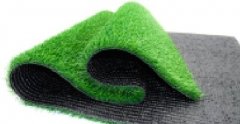 Exercise Grass 1