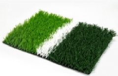 Exercise Grass 2
